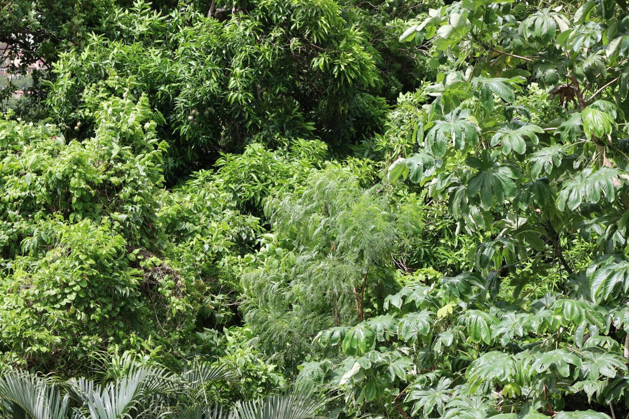 My Gem In The Caribbean Leilighet Castries Eksteriør bilde